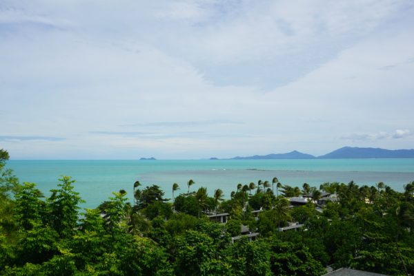 seaview, turquoise waters, palm trees