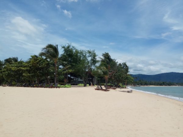 turquoise waters, palm trees, sand, beach