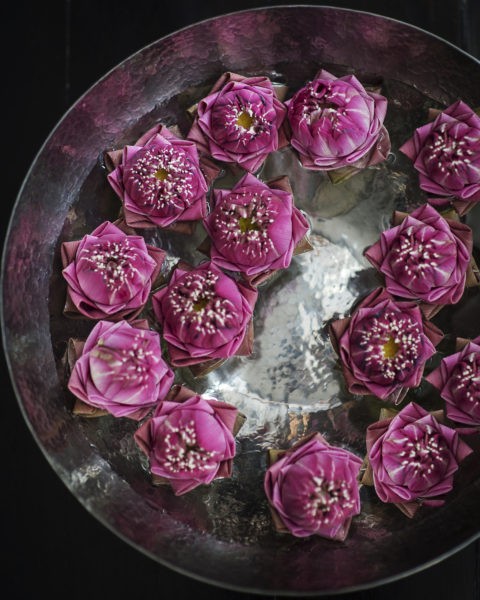 Pink lotus flowers in bowl